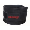 Grizzly Fitness 6-Inch Bearhugger Nylon Training Belt, Large
