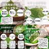 Shizen Health Corporation Moringa Powder, 14.1 oz (400 g), Moringa