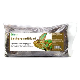 The Bio Dude Background Blend 6 quarts for bioactive Terrarium Backgrounds and vivariums