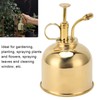 Professional Stainless Steel Watering Can with Top Pump for Succulent