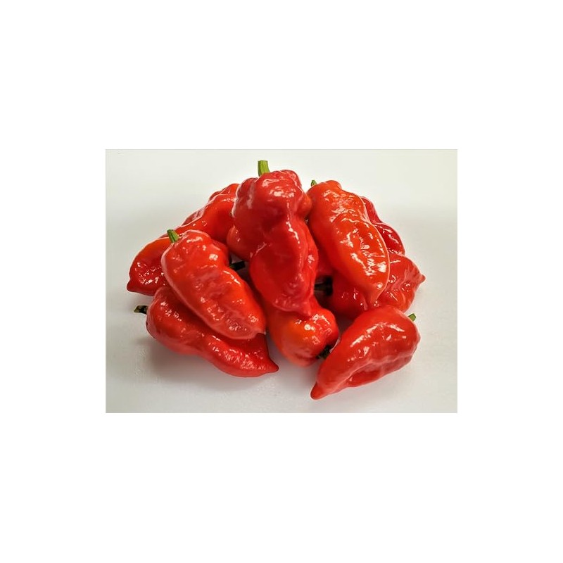 JD Piranha Pepper Seeds