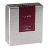 PILOT Iroshizuku Bottled Fountain Pen Ink, Yama-Budo, Crimson Glory Vine