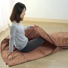 Echigo Futon (81965 Warm Down Sleeping Bag, Includes Storage Bag),