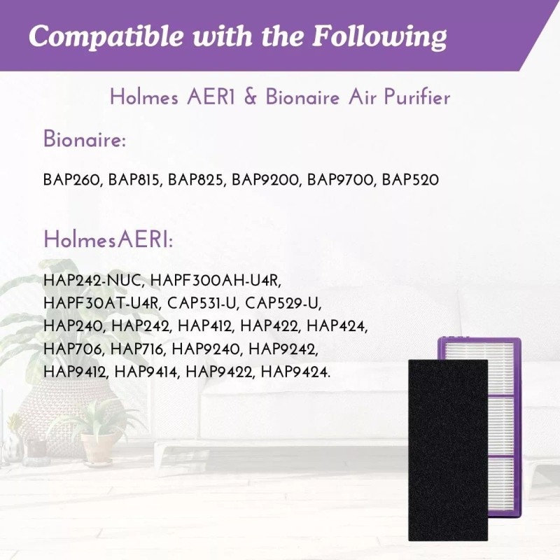 Nispira 4 HEPA + Carbon Filter for Holmes Aer1 Air