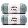 Caron CAR Jumbo Ombre White Water Yarn - 2 Pack