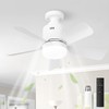 Socket Fan Light with Lights Ceiling Fans with Remote and