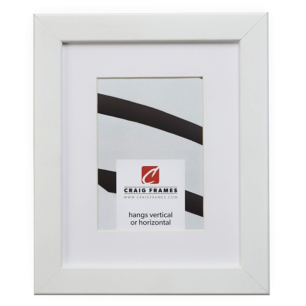 Craig Frames 26267 20 x 30 Inch White Satin Picture Frame Matted to Display a 16 x 24 Inch Photo