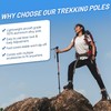 TENPLAY Trekking Pole 7075 Aluminium,EVA Anti-Slip Grips,Quick Lever Lock,3 Section