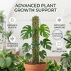 Poste de Musgo para Plantas Trepadoras, Soporte de Plástico en