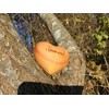 Thankgoods Worry Stone Wooden Heart Engraved I Love You -
