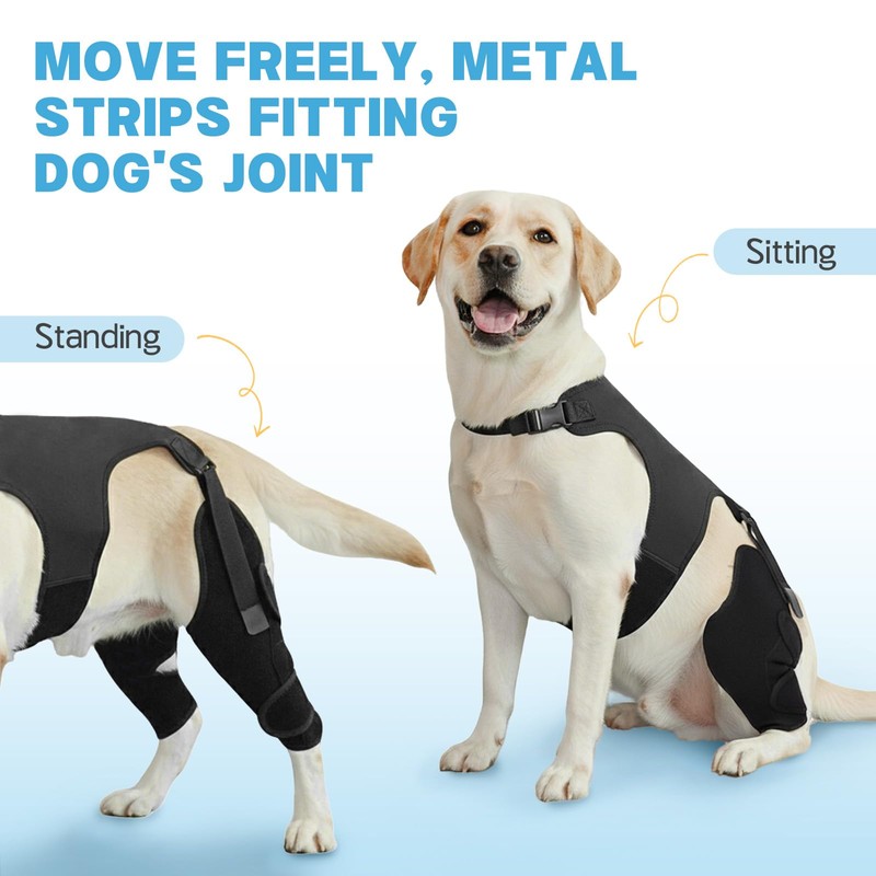 Marnonsis Dog Knee Braces for Back Leg,Support for Large Dogs,XL