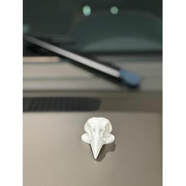 Raven Bird Skull Desert Style for Almost Any CAR - Hood, Trunk Or Roof Decor, Magnetic - Ornament Hood Skeleton Skull Ram