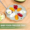 Olabocio Baby Fruit Feeder with Mini Freezer Tray, 2 Pack
