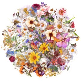 Floral Decals Stickers Set(120 PCS) PET Transparent Cute Resin Natural Flower Stickers for Scrapbooking Planner Journaling Wrapping DIY Crafts Cards Album Water Bottles Phone Cases Laptops