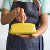 Now Designs Stoneware Rectangle Butter Dish with Lid, Lemon Yellow