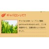 Honjien Tea Health Tea Made in Japan Gabaron Tea Bag