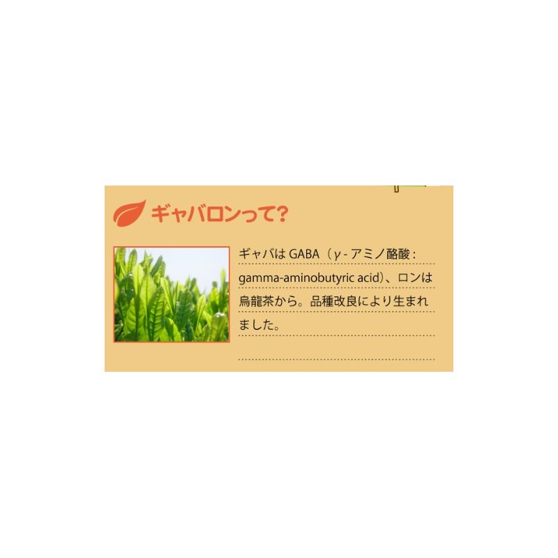 Honjien Tea Health Tea Made in Japan Gabaron Tea Bag