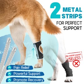 Supet Dog Leg Brace for Back Leg - Hock & Ankle Joint Support for Rear Legs with 2 Metal Springs, Anti-Slip Design & Reflective Trim for Sprain, Arthritis, Injury & Wound Recovery