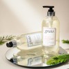 Mise en Scène 미쟝센 그라토 안티 댄드러프 샴푸 700ml Mise