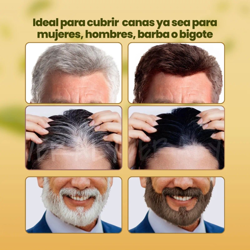 Shampoo Y Tinte Instantneo Cubre Canas Natural Jengibre F