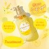 &honey & honey fleur shampoo hair treatment refill pair set