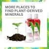 Youngevity Plant Derived Liquid Minerals - 77+ Natural Unaltered Trace