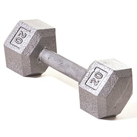 Solid Hex Dumbbell - 20 lb.