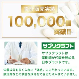 サプリクラフト ナイアシンアミド サプリ 500mg ナイアシン ビタミンB 100日分