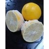 White Cotton Lemon Covers with Elastic - 10 Pack Half