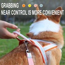 HOSTPATH Easy Walk Small Dog Harness,Colorful Step-in Reflective Dog Harness Vest with Handle,Breathable Mesh Padded Pet Harness for Small Medium Dogs_L(Orange)