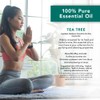 SpaRoom Aromatherapy 100% Pure Undiluted Essential Oil, Purify Tea Tree,