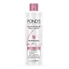Crema desmaquillante Pond's C original 365 g
