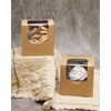 Gcardist Brown Cupcake Boxes Individual Cupcake Container 35Pcs 8.9x8.9x8.9cm Auto-Pop