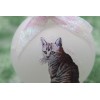 C011 Hand-made Christmas Ornament cat kitten - Tiger Tabby sitting