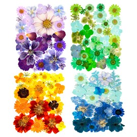 Gradient Color Dried Pressed Flowers for Resin, Real Pressed Flowers Dry Leaves Bulk Natural Herbs Kit for Scrapbooking DIY Art Crafts, Epoxy Jewelry, Candle, Soap Making, Nails Decor