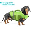 Queenmore Dog Life Jacket, Adjustable Ripstop Dog Life Vest for