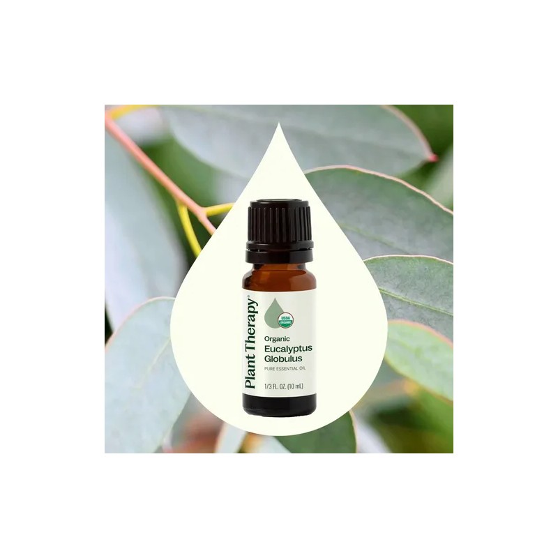 Plant Therapy Aceite Esencial De Eucalipto Orgánico 10ml