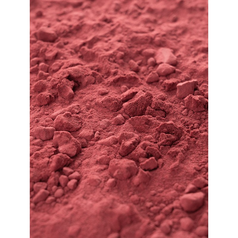 Biojoy Organic Beetroot Powder (500 g), Raw, Ground Beetroot (Beta