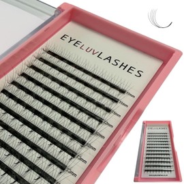 Russian Premade Lashes 5D D Curl 11-14 Mix Length Pre Made Lash Fans Volume Lashes Promade Lash Extensions Pre Made Lash Fans Eyelash Tray (5D 0.07 D Curl 11-14 Mix)