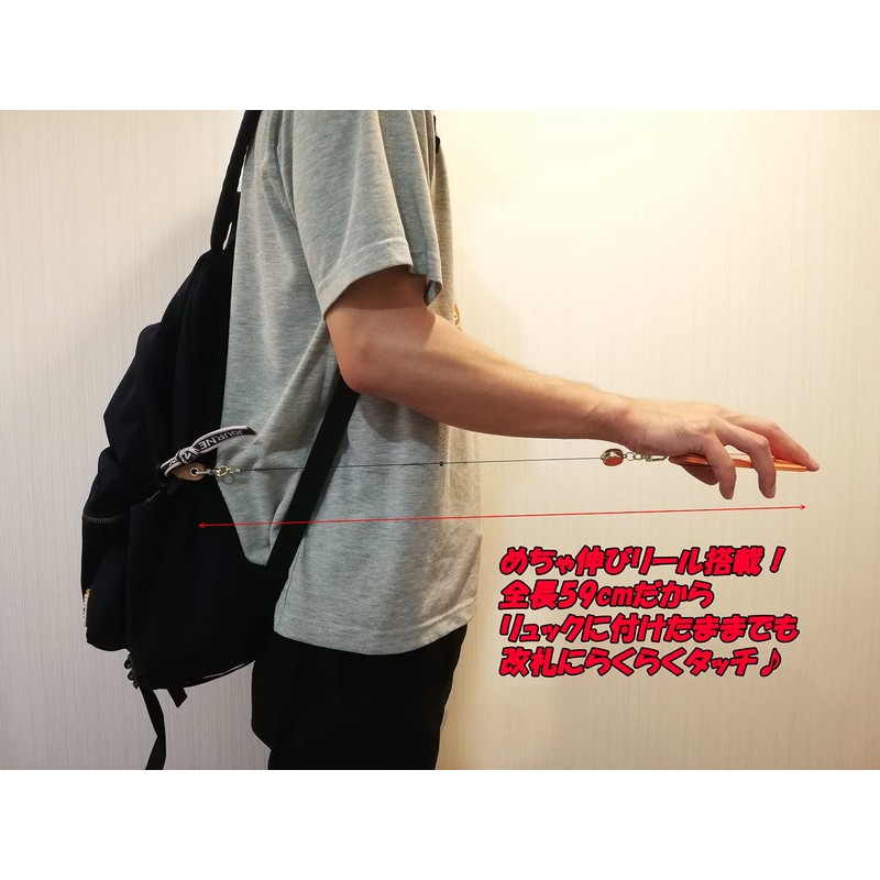 FUJISKY Commuter Pass Holder, Pass Case, blue