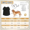 4 Pcs Judge Costume Set Include Dog Judge Robe Adjustable