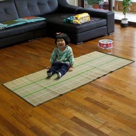 EAS Portable Single-Person Waterproof Mat for Summer Camping Mat