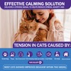 WEALLIN 6 Pack Cat Calming Diffuser Refills - Cat Pheromones