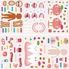 24 Sheets Human Anatomical Organs Make-A-Face Stickers Mix and Match
