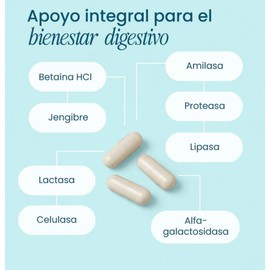 nutriADN Digestive Enzymes – Enzimas Digestivas con Amilasa(120MG), Proteasa(150 MG), Lipasa (40 MG), Lactasa (50 MG) , Celulasa(40 MG), Jengibre y Be