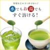 Thunder Tech Ito-en oi Ocha Japanese Premium Tea Bag Green