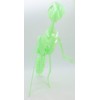 Glow-in-the-Dark Model Assembly (No Tools Required), Glow in the Dark