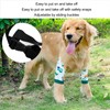 Dog Recovery Front Legs Sleeve Abrasion Resistant Breathable Comfortable Soft