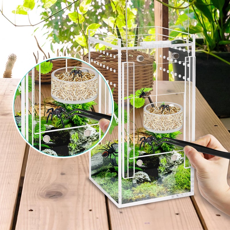Coldairsoap Jumping Spider Magnetic Water Feeding Dish for Small Pets
