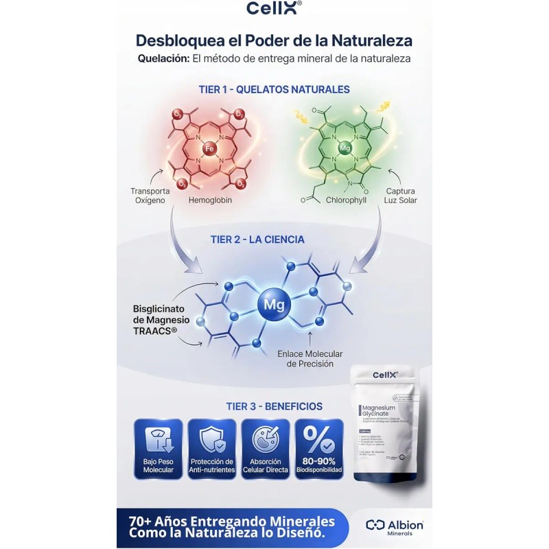 Cellx Magnesio Glicinato Alta Absorcin Duracin 2 Meses